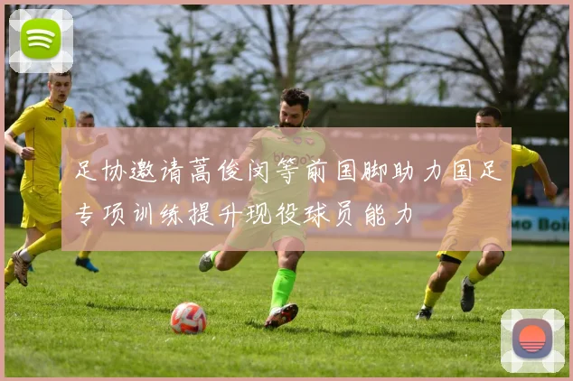 足协邀请蒿俊闵等前国脚助力国足专项训练提升现役球员能力
