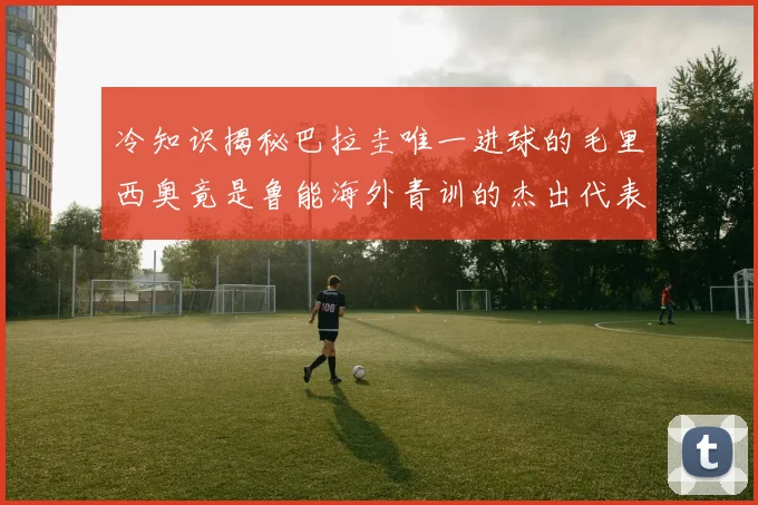 冷知识揭秘巴拉圭唯一进球的毛里西奥竟是鲁能海外青训的杰出代表